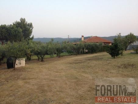 CODE 7825 - Land for sale Sithonia, Ormos Panagias, 1,350 sq.m.