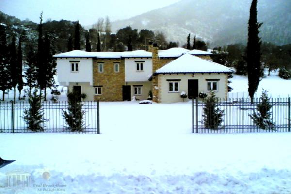 Investments are opportunities. Ideal for a home and holiday rentals in famous historical mountain town and ski resort