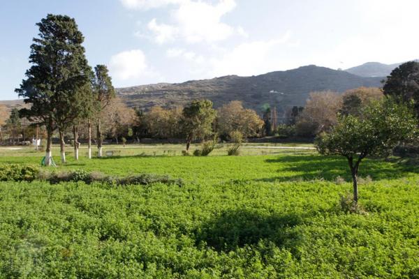 Villa Ioanna with large farm