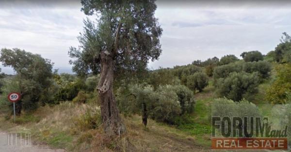 CODE 9453 - Land Plot for sale Neos Marmaras (Sithonia)