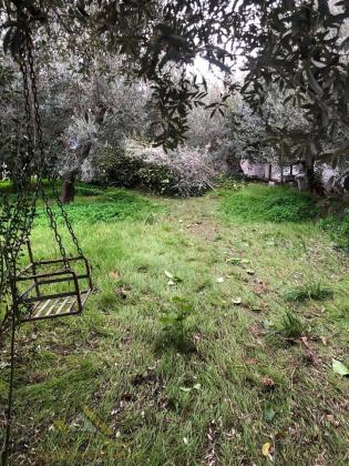 Ανακαινισμενη μονοκατοικια 87τμ,2υδ,κηπος 1000τμ με ξενωνα 17τμ και οπωροφορα δεντρα στο Νεο Σχεδιο Ραφηνας